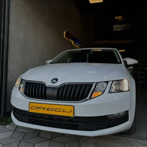 Dr ECU Çorum Skoda Octavia Chiptuning & Yazılım Remap